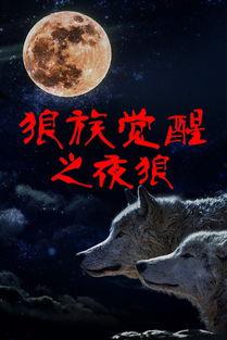 狼族在线观看,揭秘神秘狼族世界的惊险旅程 第3张 狼族在线观看,揭秘神秘狼族世界的惊险旅程 第3张